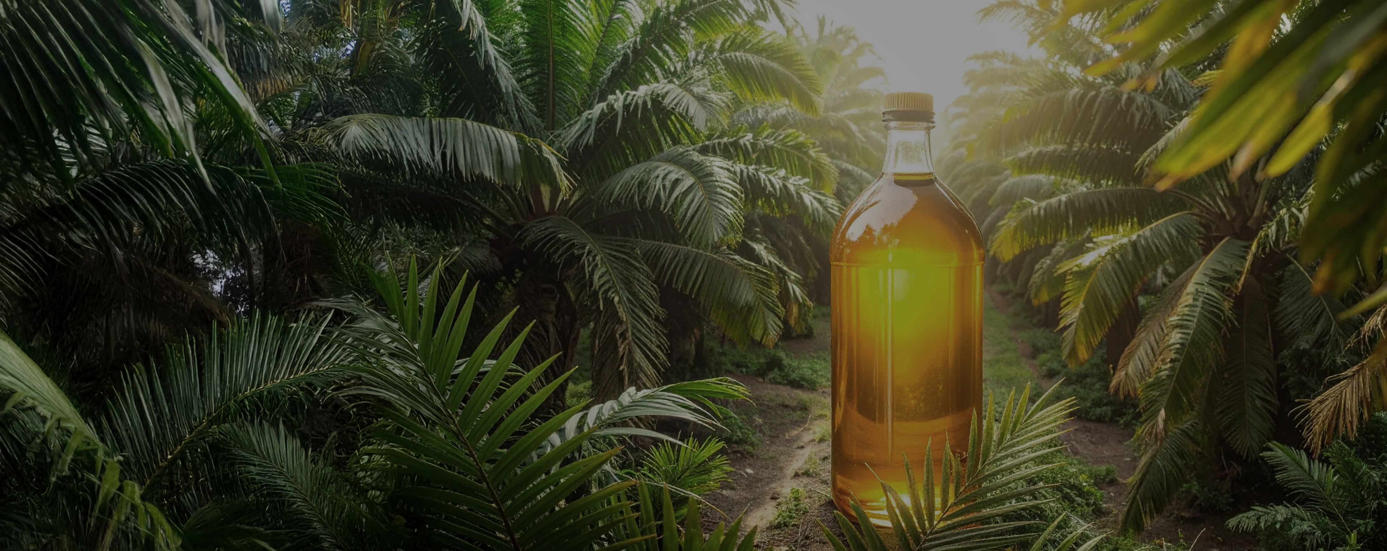 Sustainable palm oil from Magnus Trading Company