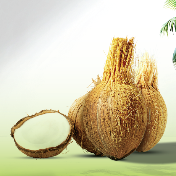Magnus Trading coconut products