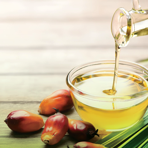 Magnus Trading palm oil products